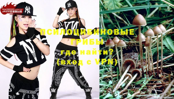спайс Бородино