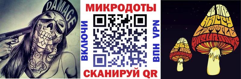Псилоцибиновые грибы Psilocybine cubensis  Терек 